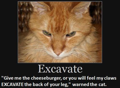"Give me the cheeseburger or you will feel my claws excavate the   back of your leg," warned the cat. 
