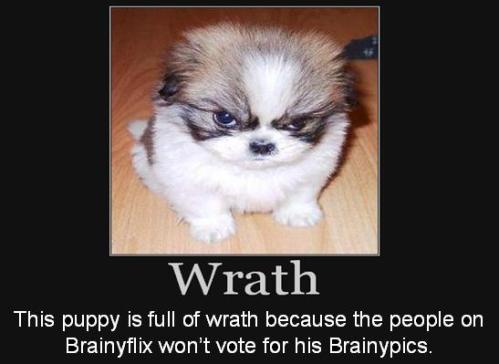 This puppy is full of wrath because the people on Brainyflix won’t vote for his Brainypics. 