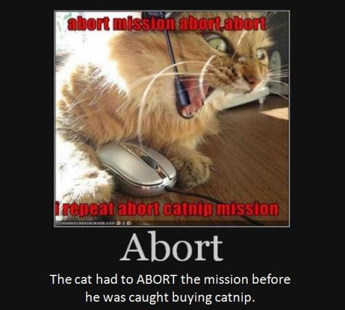 The cat had to abort the mission before he was caught buying catnip. 