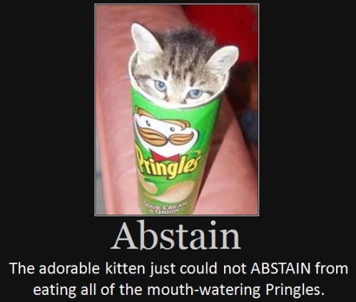 The adorable kitten just could not abstain from eating all of the mouth-watering Pringles. 